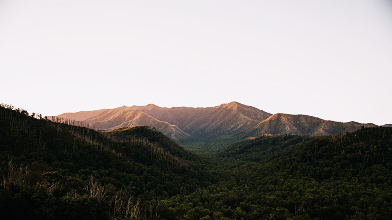 Five things about Gatlinburg first-time visitors should know