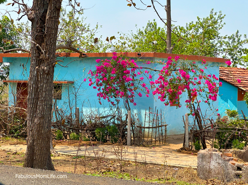 lovely village house nagpur pachmarhi road