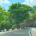 Ghats begin on the Matkuli Pachmarhi Highway