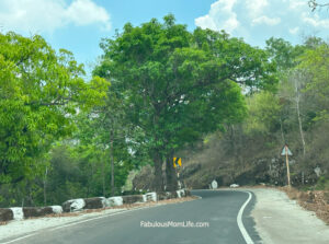 Ghats begin on the Matkuli Pachmarhi Highway