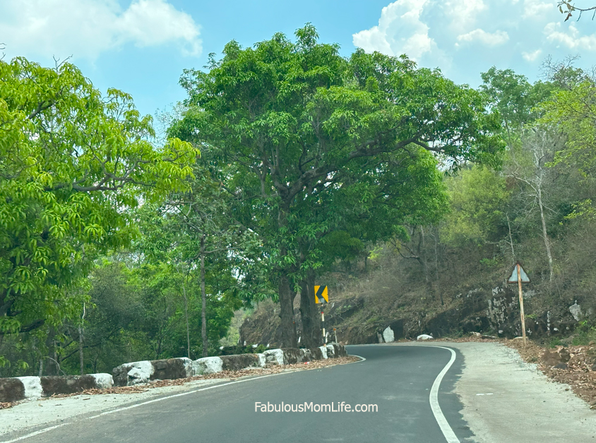 Ghats begin on the Matkuli Pachmarhi Highway