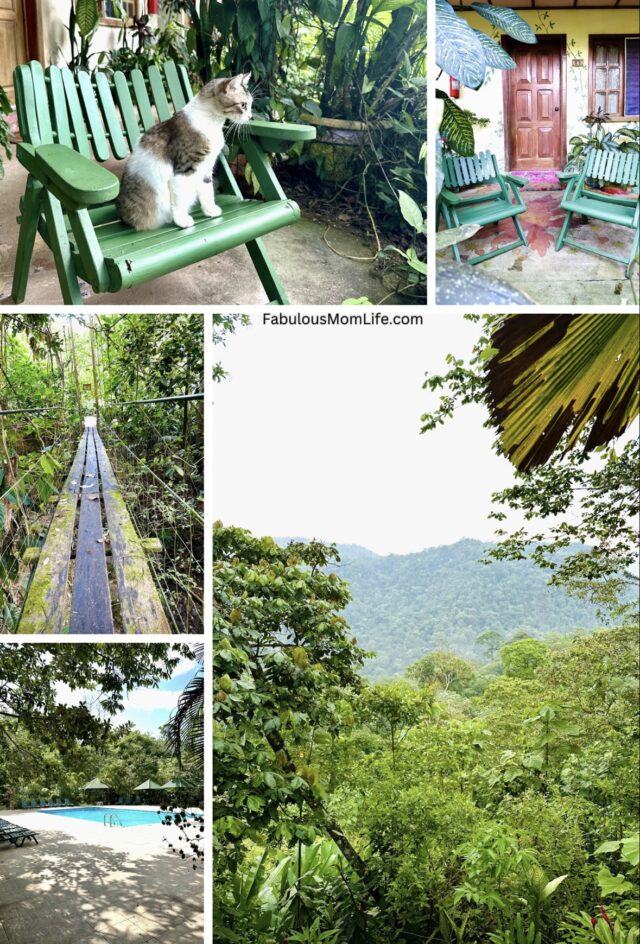 Lands in Love: A Vegan Paradise in the Costa Rican Rainforest