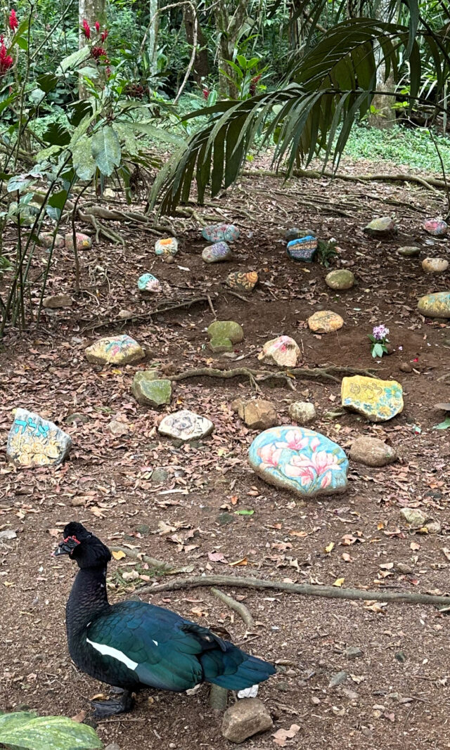 Beautiful Pet cemetery at Lands in Love/Animal Love Rescue Centre in Costa Rica