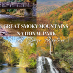 A Fall Foliage Adventure in Great Smoky Mountains National Park