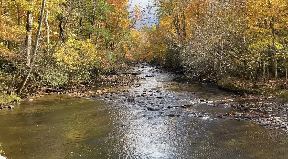 Best fall hikes in Smoky Mountains