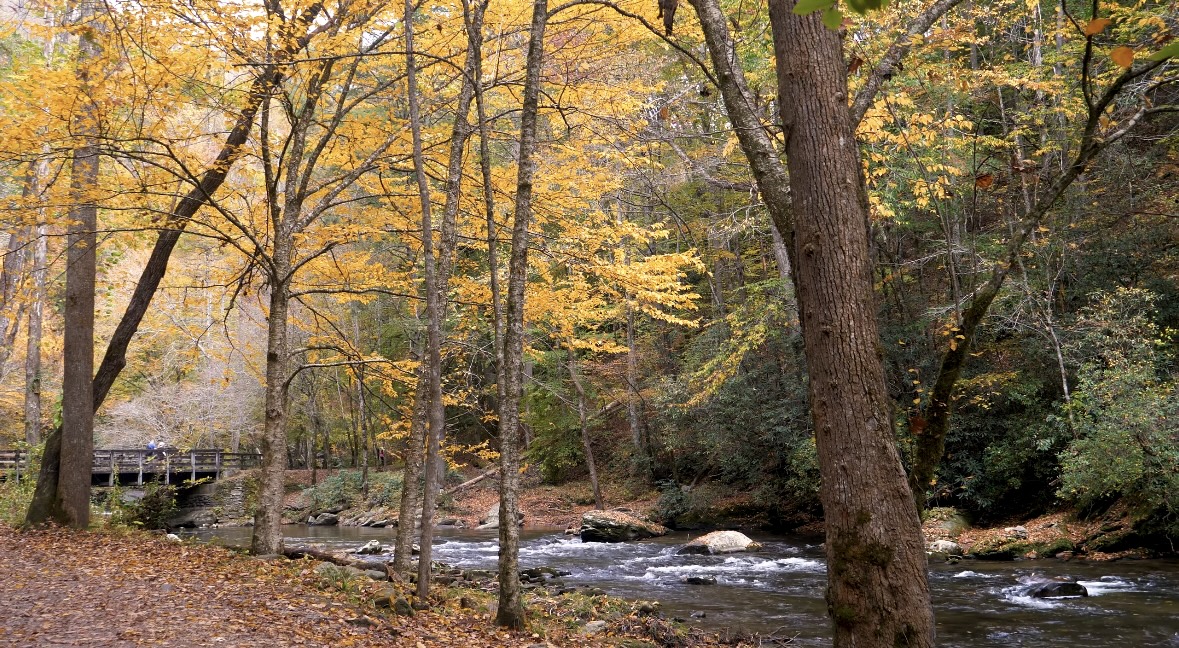 Great Smoky Mountains National Park fall backpacking