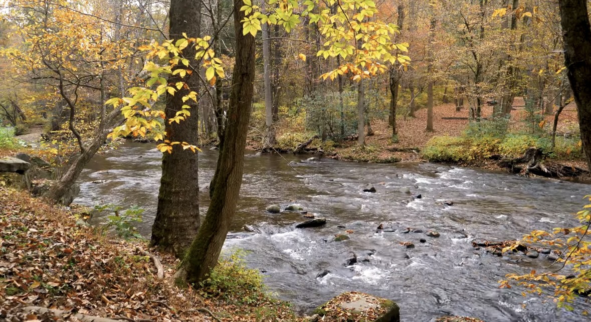 Great Smoky Mountains National Park fall foliage