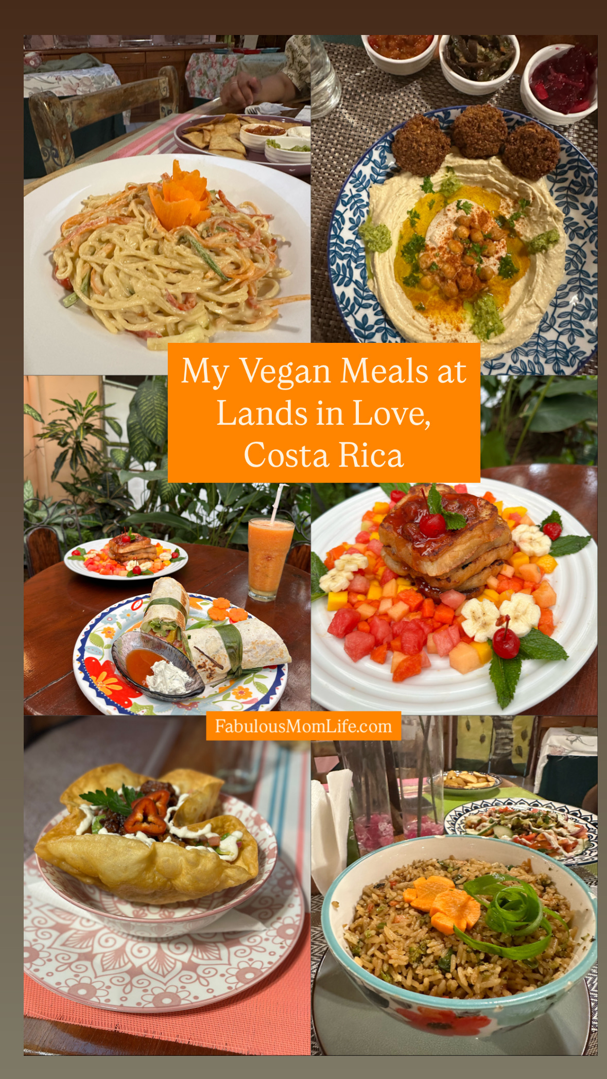 My Delicious Vegan meals at Lands in Love Resort in Costa Rica 