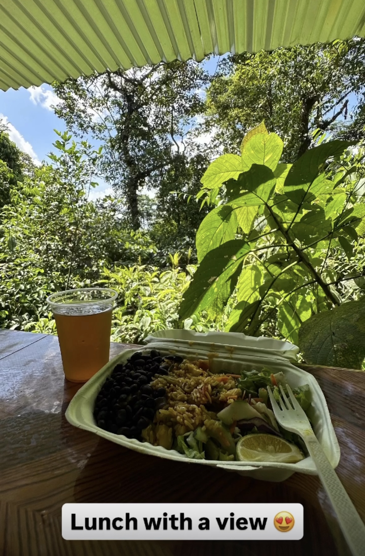 A delicious vegetarian lunch inside the Arenal Volcano National Park 