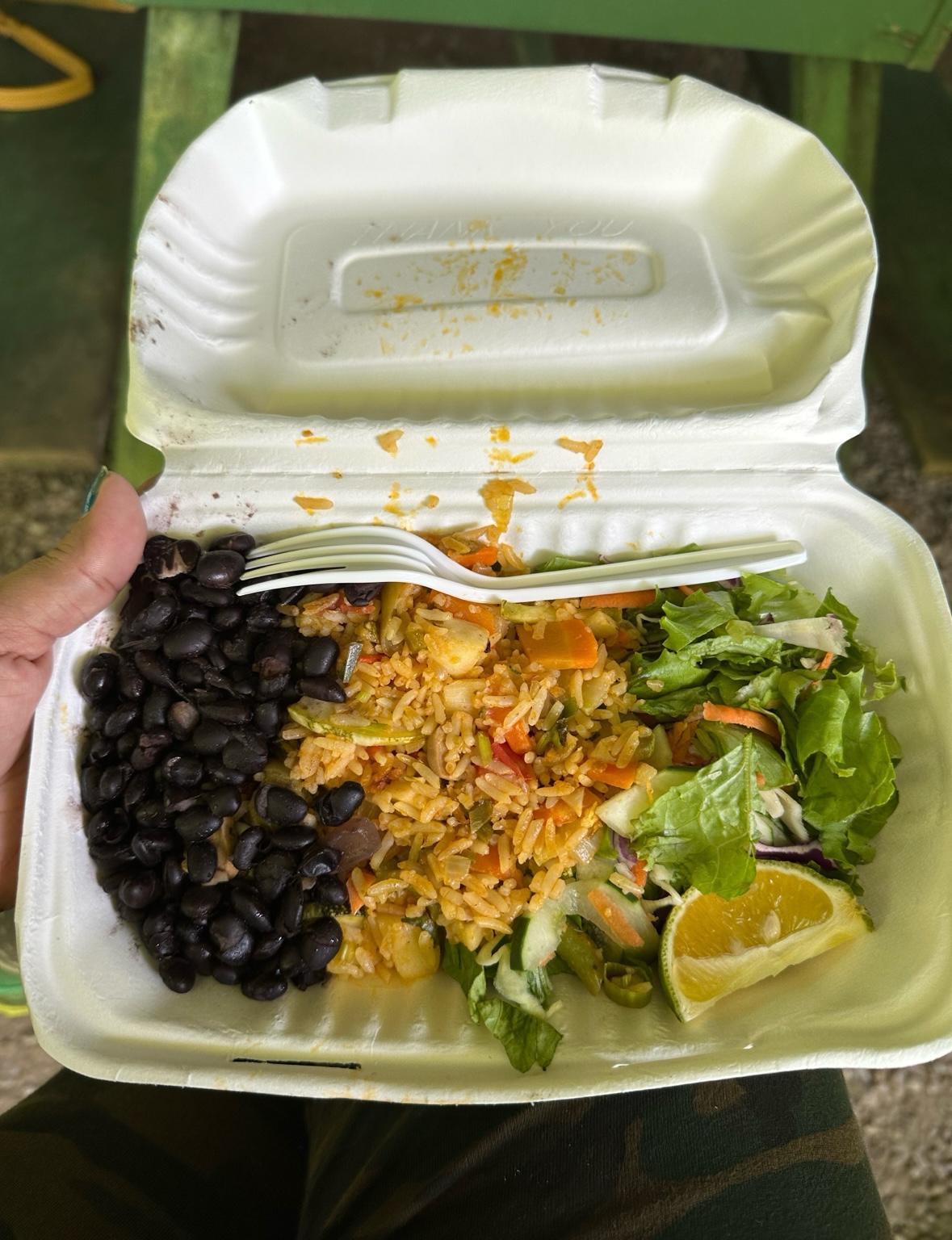 Flavourful Vegetable Rice served with Beans and Salad on a Full day tour in Costa Rica 