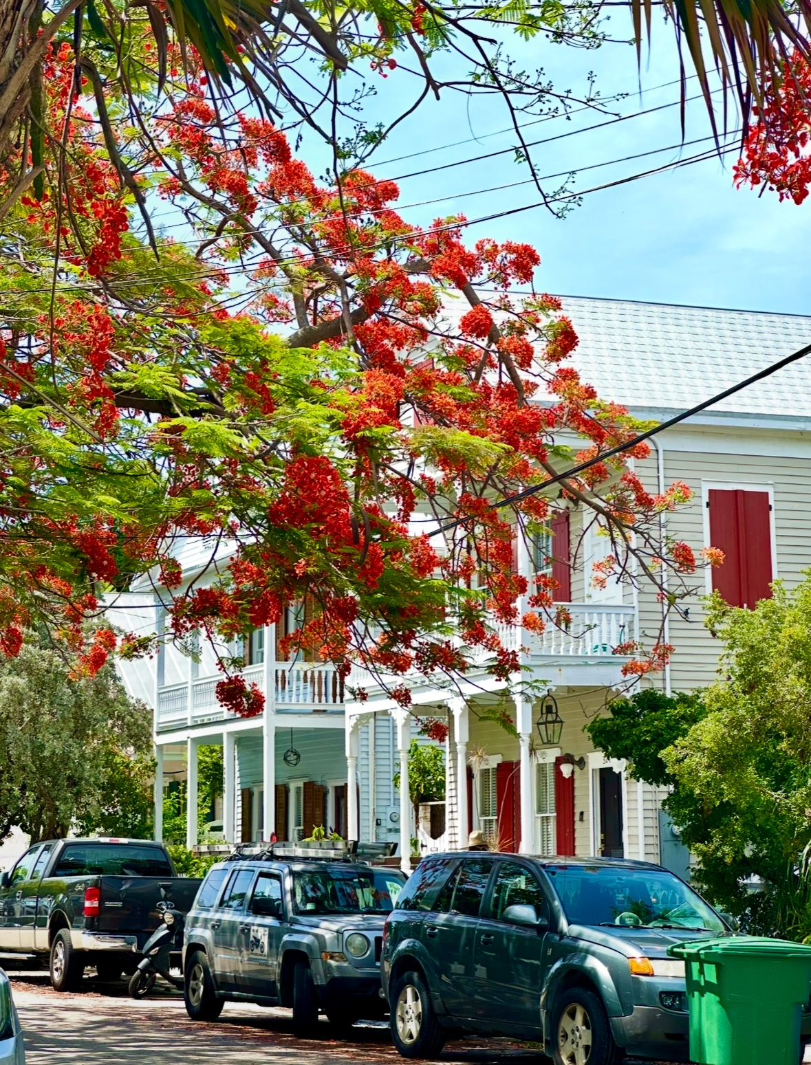 Beautiful Key West Tree-lined Streets with Picturesque Houses